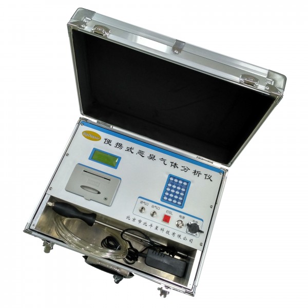 pAir2000-EFF-A便携式环境大气恶臭污染物检测仪